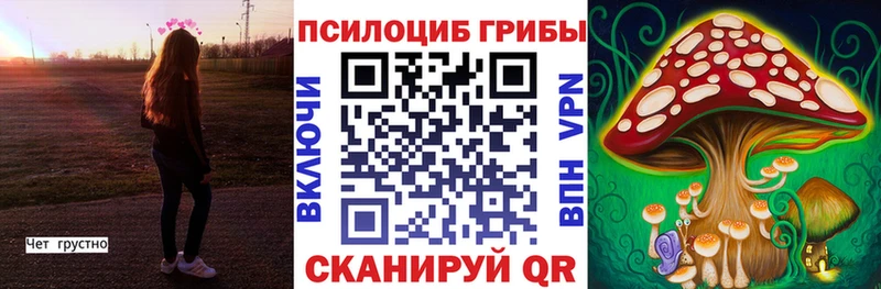 Галлюциногенные грибы мицелий  Железногорск 